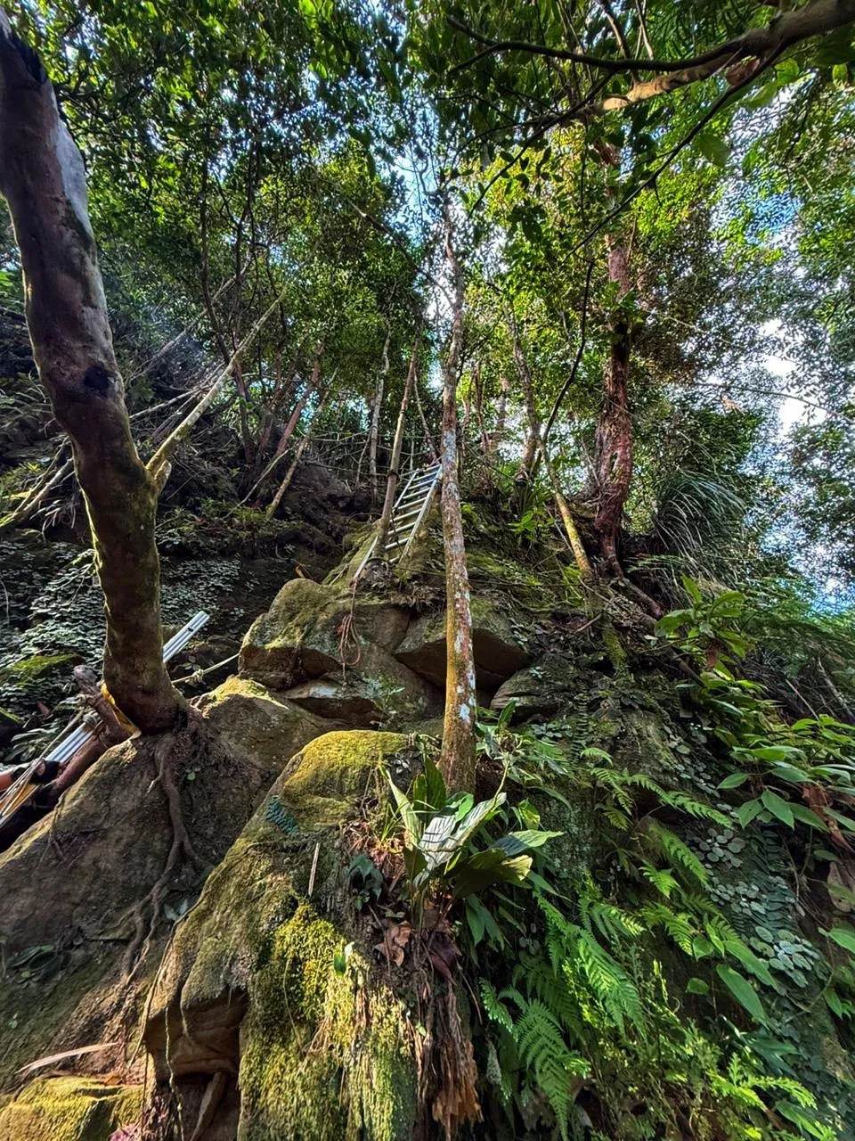 Batu Dinding 石墙的梯子路段，从岩壁往上看非常壮观
