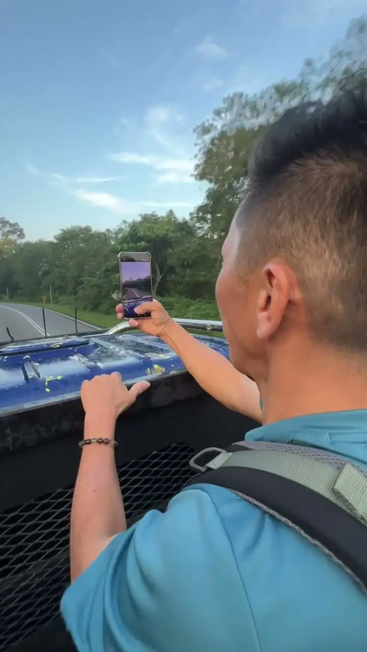 团员站在罗里车斗上，一路吹着风看清晨的公路和树林风景
