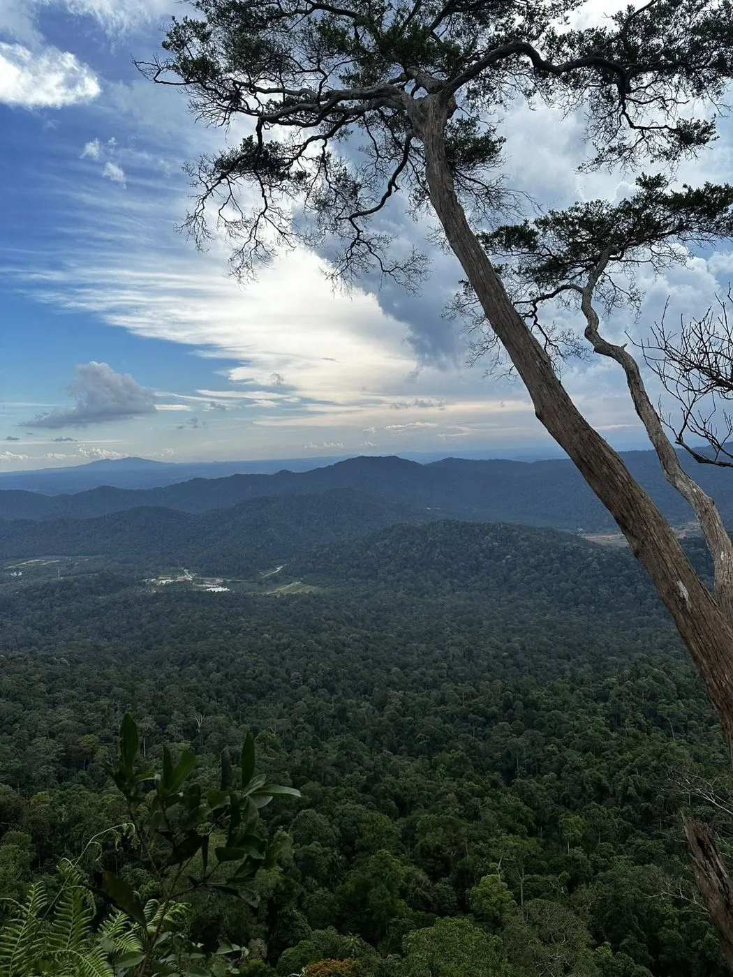 Panti Barat 山顶眺望的开阔山景，层层山峦一路延伸